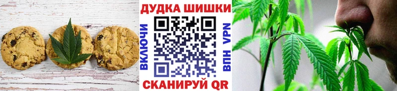 где можно купить наркотик  Шахунья  Еда ТГК конопля 
