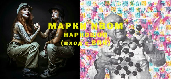 прущие грибы Абинск