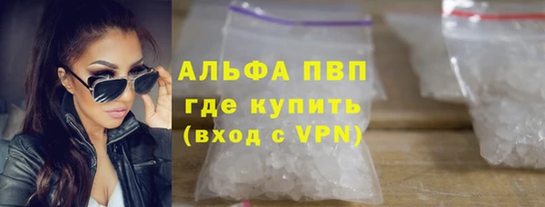 прущие грибы Абинск