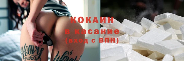 прущие грибы Абинск