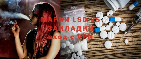 прущие грибы Абинск