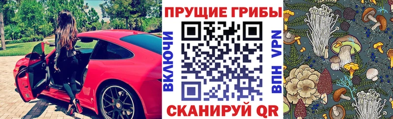 Псилоцибиновые грибы мицелий где купить наркоту Шахунья